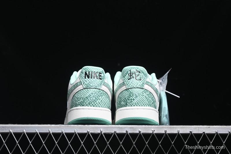 Nike Court Vision Lo 2025 Year of the Snake Theme Campus Casual Sneakers - CD5463-100